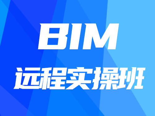 BIM遠(yuǎn)程實操班